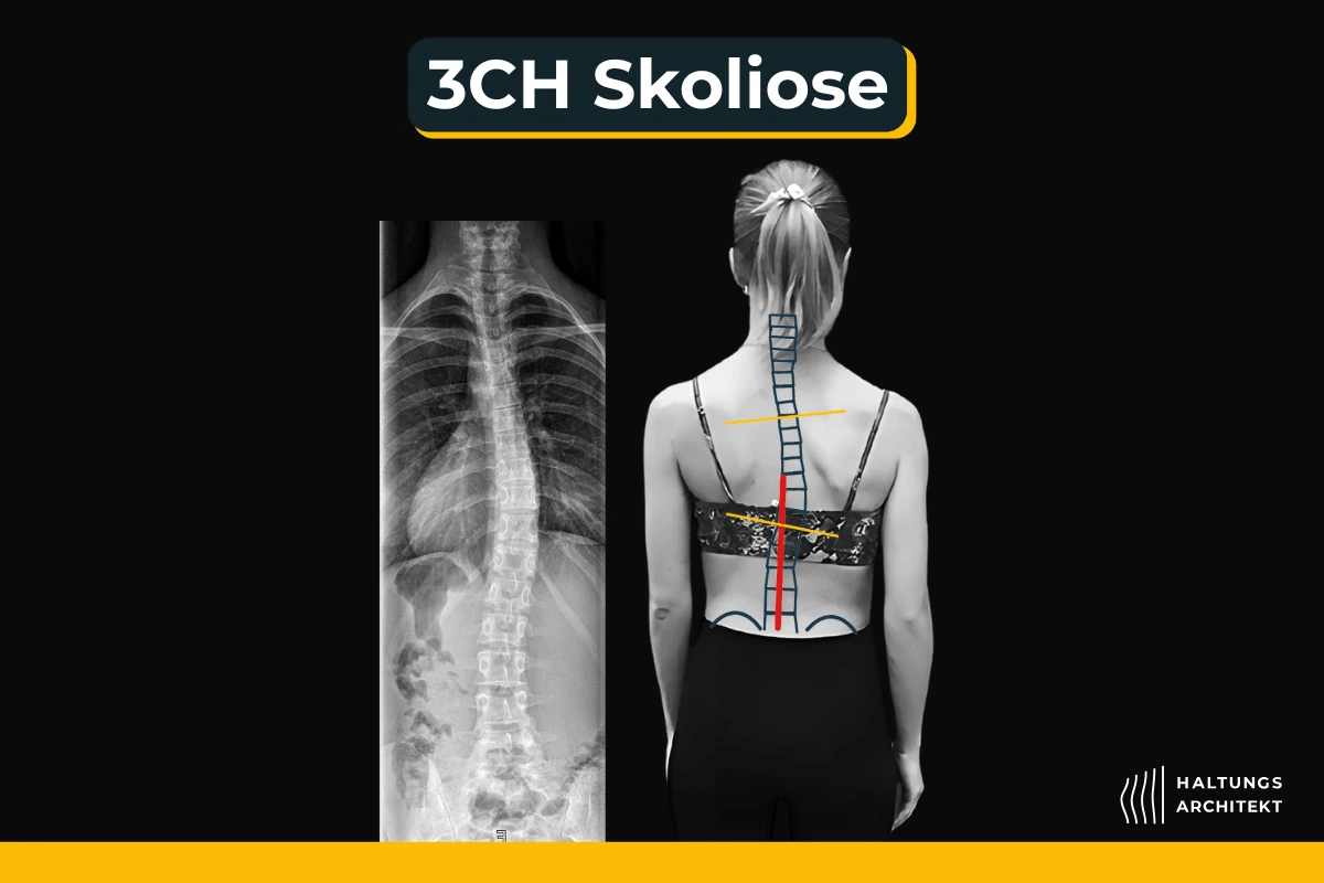 Gesund leben Schöneberg griechische Feinkost Olivenöl