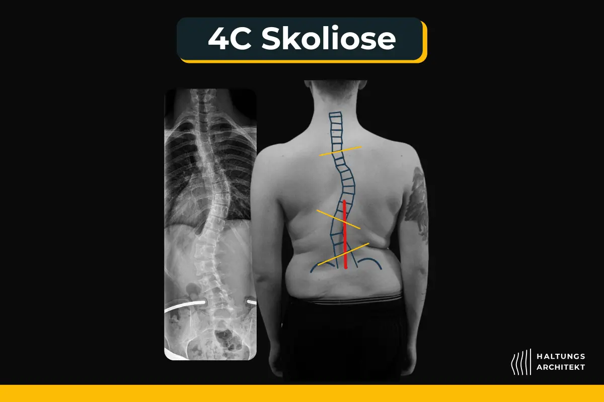 Gesund leben Schöneberg griechische Feinkost Olivenöl