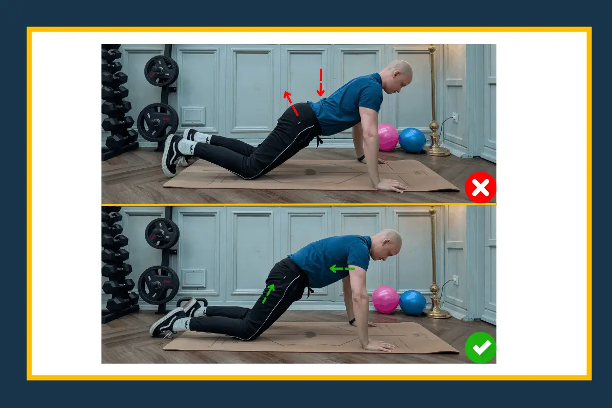 Richtige und falsche Bauchmuskelansteuerung im Vierfüßlerstand