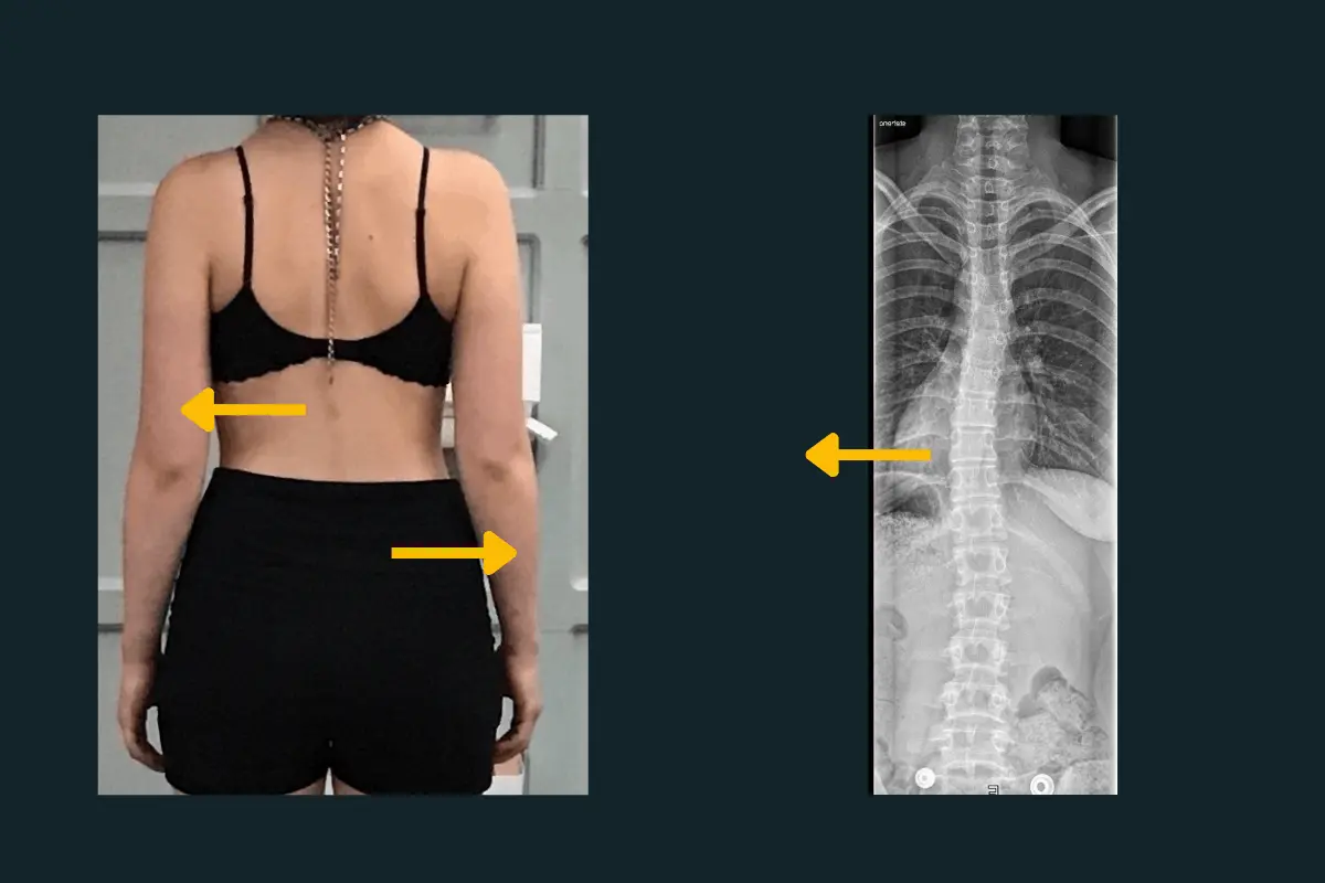 Gesund leben Schöneberg griechische Feinkost Olivenöl