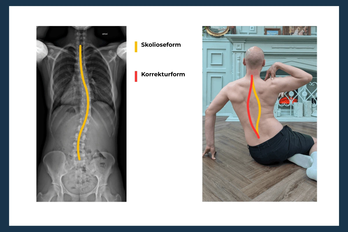 Gesund leben Schöneberg Bagels Kaffee Impala Coffee
