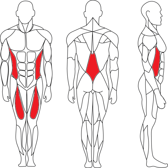 Verkürzte Muskeln bei einem Rundrücken